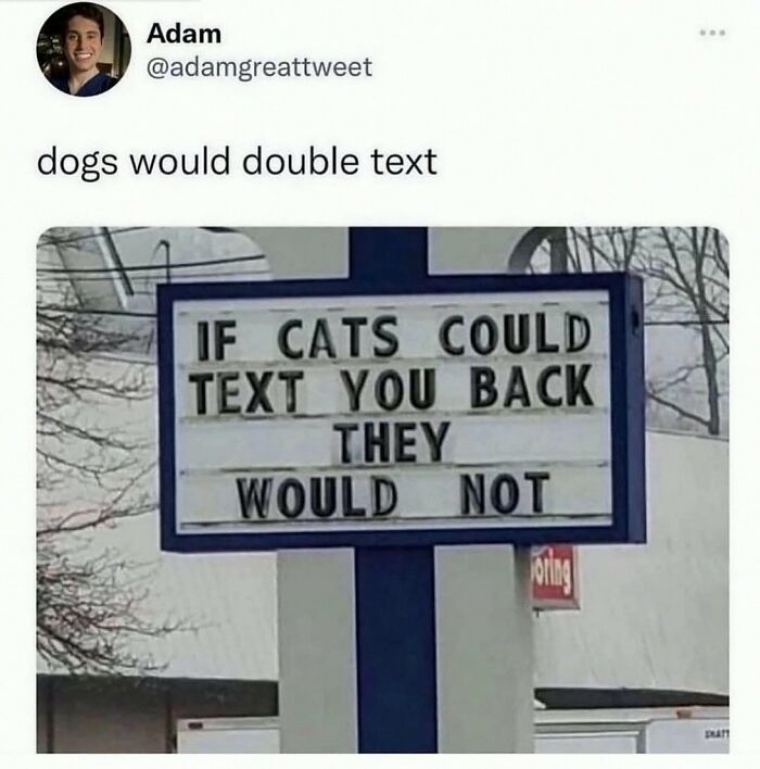 This Account Shares 55 Memes Of Animals Who Are The Definition Of “No Thoughts, Just Vibes”