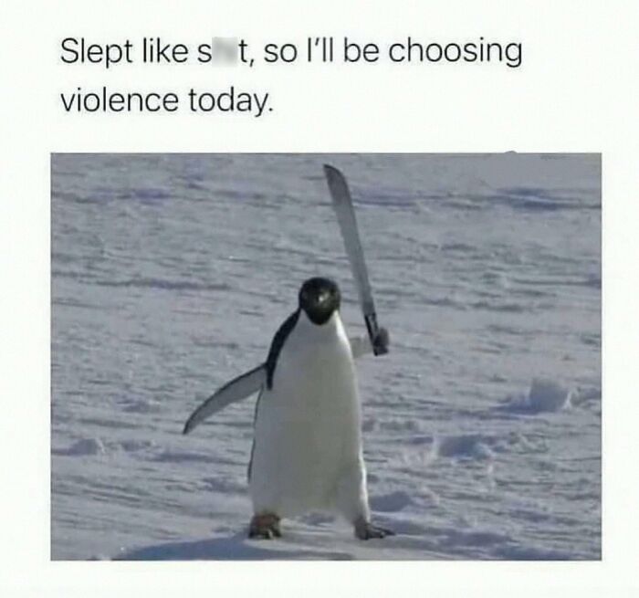 This Account Shares 55 Memes Of Animals Who Are The Definition Of “No Thoughts, Just Vibes”