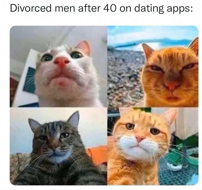 This Account Shares 55 Memes Of Animals Who Are The Definition Of “No Thoughts, Just Vibes”