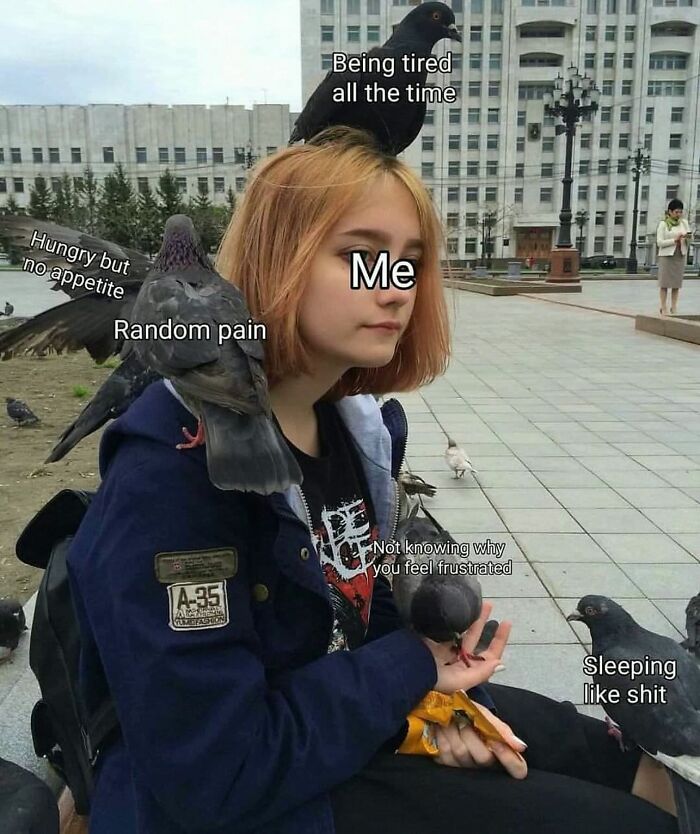 This Account Shares 55 Memes Of Animals Who Are The Definition Of “No Thoughts, Just Vibes”