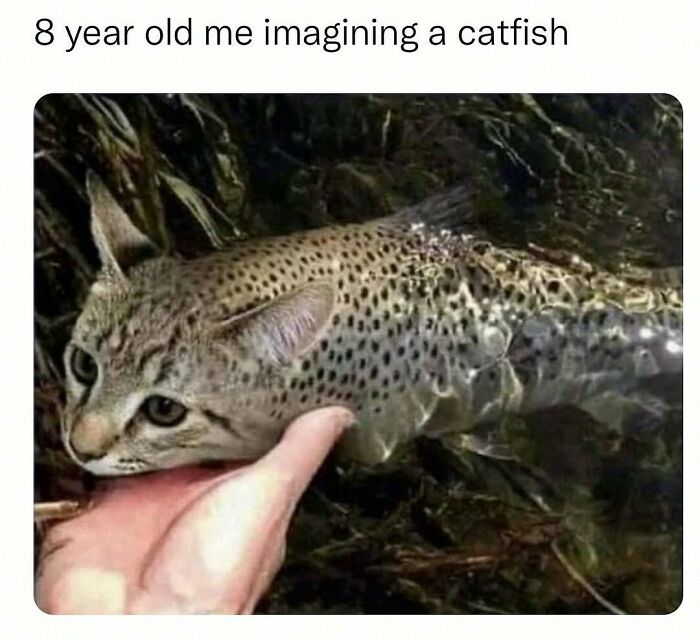 This Account Shares 55 Memes Of Animals Who Are The Definition Of “No Thoughts, Just Vibes”