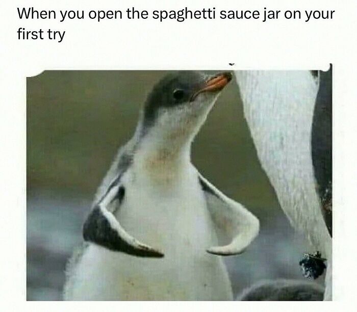 This Account Shares 55 Memes Of Animals Who Are The Definition Of “No Thoughts, Just Vibes”