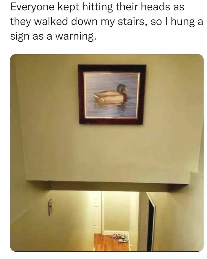 This Account Shares 55 Memes Of Animals Who Are The Definition Of “No Thoughts, Just Vibes”