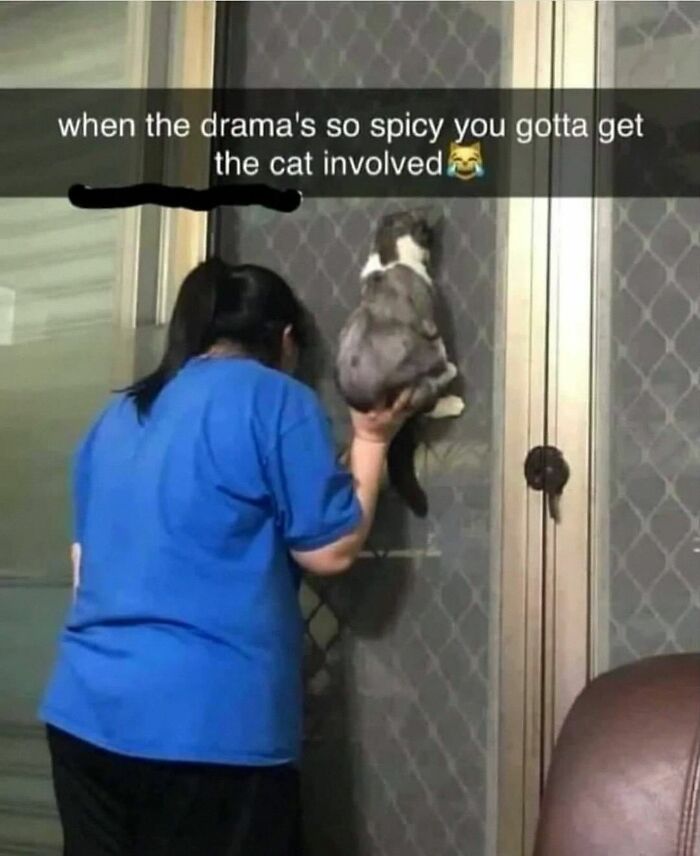 This Account Shares 55 Memes Of Animals Who Are The Definition Of “No Thoughts, Just Vibes”