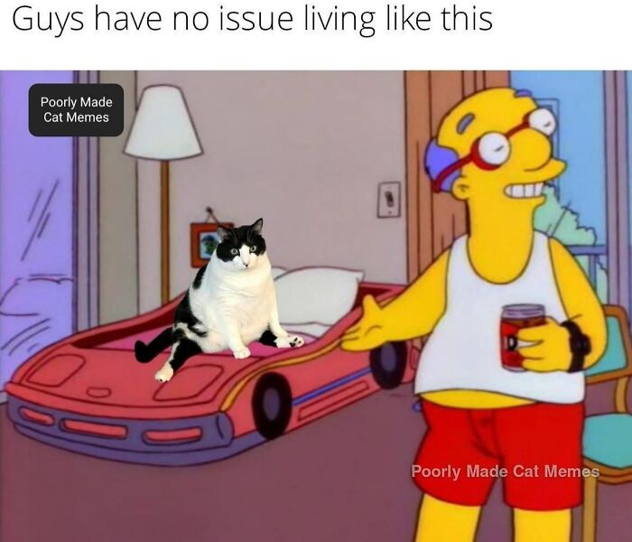 If You Love Chaotic Cat Humor, These 51 Poorly Made Cat Memes Might Be For You