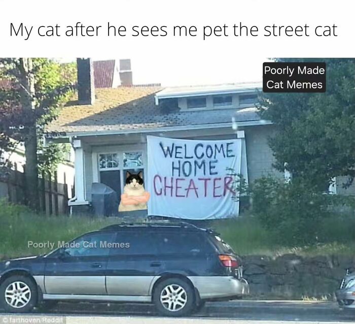 If You Love Chaotic Cat Humor, These 51 Poorly Made Cat Memes Might Be For You