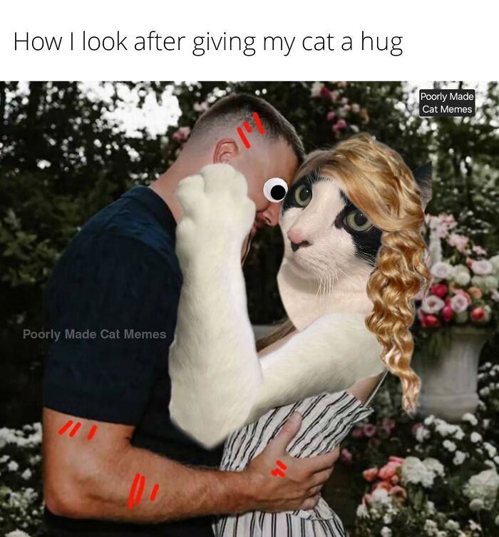 If You Love Chaotic Cat Humor, These 51 Poorly Made Cat Memes Might Be For You