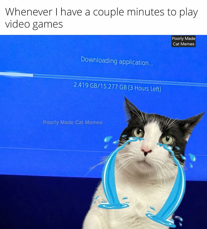 If You Love Chaotic Cat Humor, These 51 Poorly Made Cat Memes Might Be For You