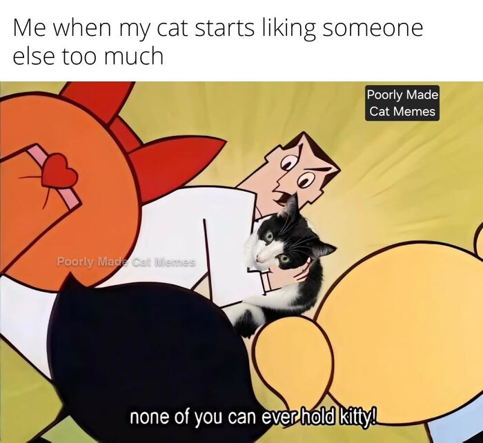 If You Love Chaotic Cat Humor, These 51 Poorly Made Cat Memes Might Be For You