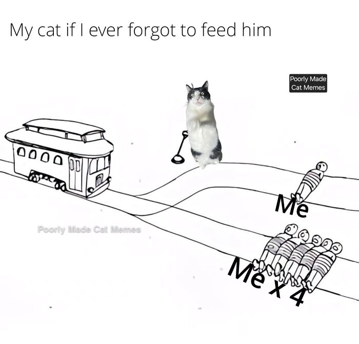 If You Love Chaotic Cat Humor, These 51 Poorly Made Cat Memes Might Be For You