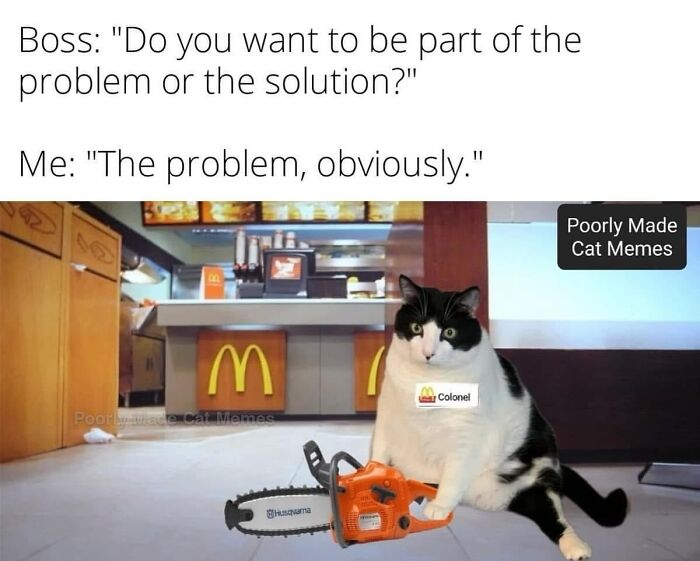 If You Love Chaotic Cat Humor, These 51 Poorly Made Cat Memes Might Be For You