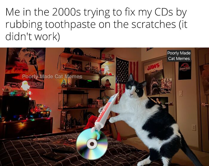 If You Love Chaotic Cat Humor, These 51 Poorly Made Cat Memes Might Be For You