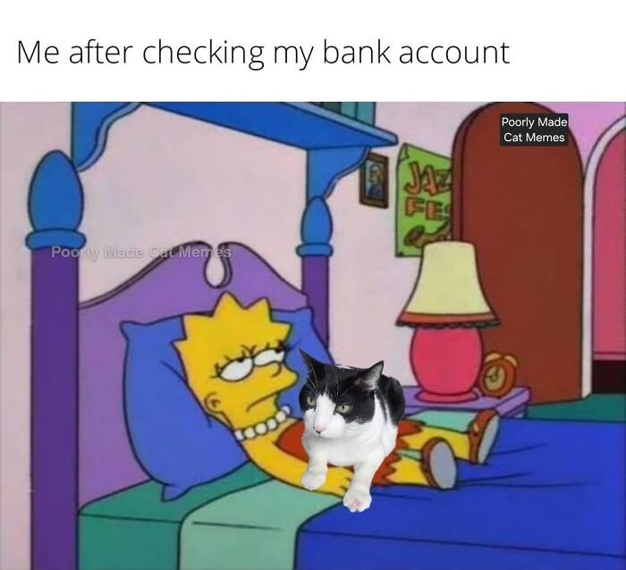 If You Love Chaotic Cat Humor, These 51 Poorly Made Cat Memes Might Be For You