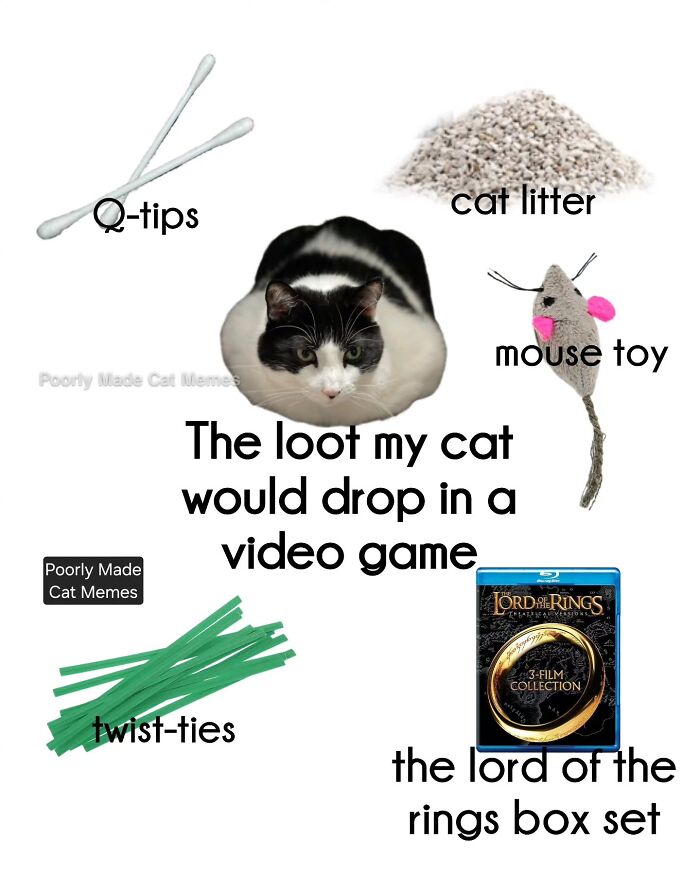 If You Love Chaotic Cat Humor, These 51 Poorly Made Cat Memes Might Be For You