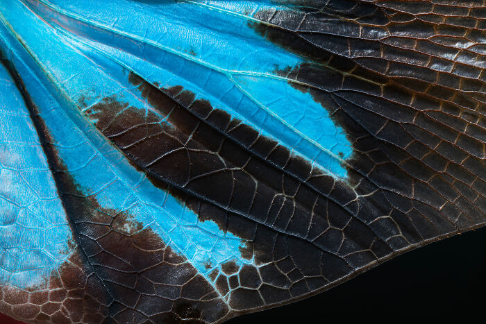 Here Are 18 Of The Most Powerful Photos From This Year’s HIPA Photography Awards Here Are 18 Of The Most Powerful Photos From This Year’s HIPA Photography Awards