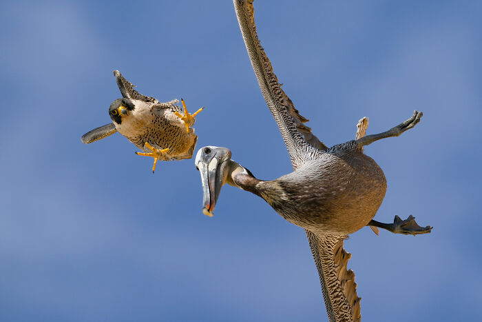 Here Are 18 Of The Most Powerful Photos From This Year’s HIPA Photography Awards Here Are 18 Of The Most Powerful Photos From This Year’s HIPA Photography Awards