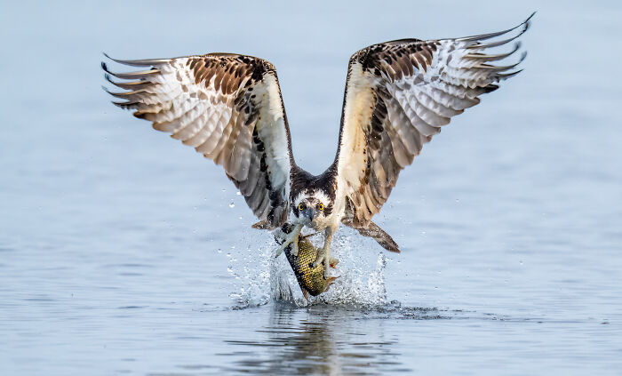 Here Are 18 Of The Most Powerful Photos From This Year’s HIPA Photography Awards Here Are 18 Of The Most Powerful Photos From This Year’s HIPA Photography Awards