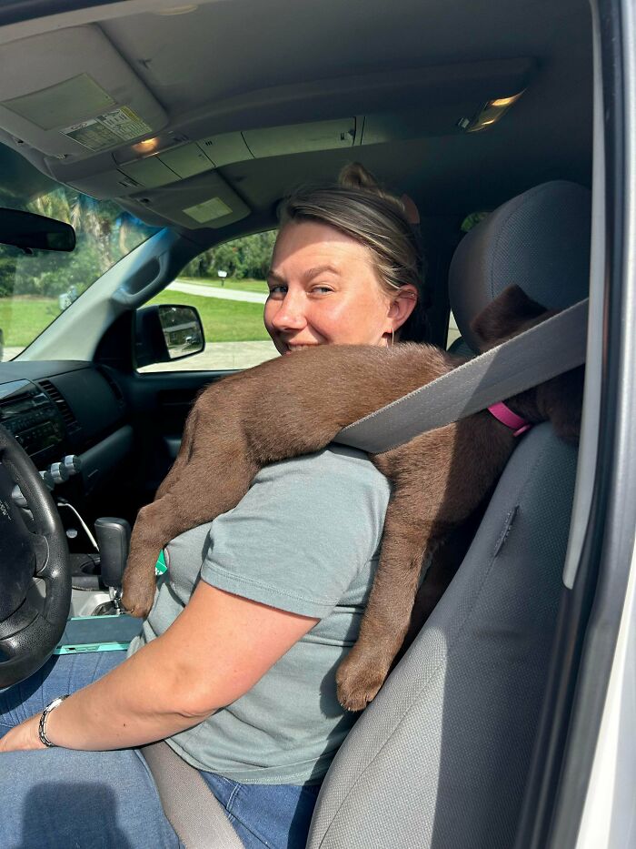 47 Goofy Doggos With Not A Single Thought In Their Heads To Ease Your Overthinking Brain 47 Goofy Doggos With Not A Single Thought In Their Heads To Ease Your Overthinking Brain