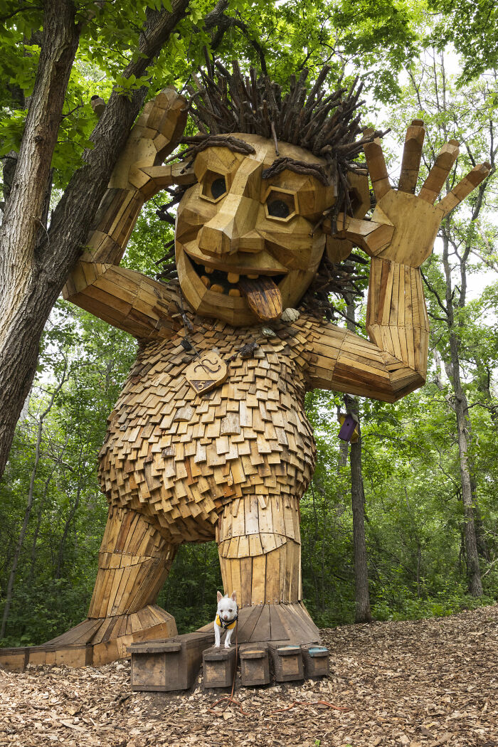 My Chihuahua Set Out On A Troll-Hunting Adventure In Minnesota’s Woods, And Here’s The Result (24 Pics) My Chihuahua Set Out On A Troll-Hunting Adventure In Minnesota’s Woods, And Here’s The Result (24 Pics)