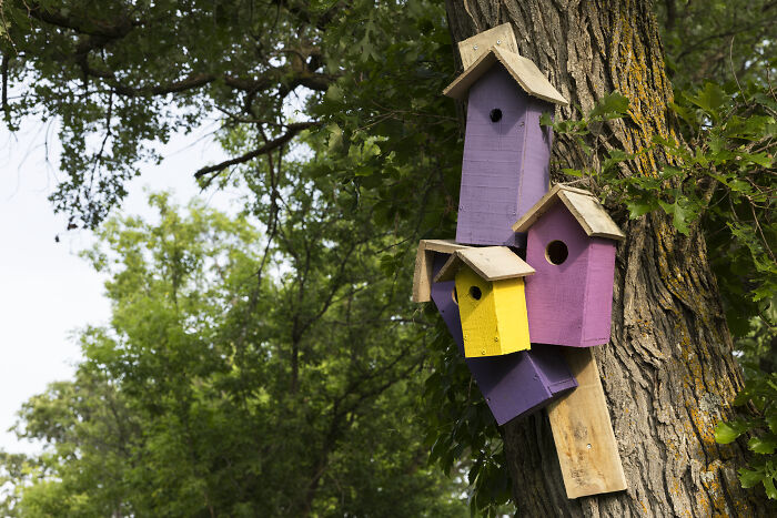 My Chihuahua Set Out On A Troll-Hunting Adventure In Minnesota’s Woods, And Here’s The Result (24 Pics) My Chihuahua Set Out On A Troll-Hunting Adventure In Minnesota’s Woods, And Here’s The Result (24 Pics)