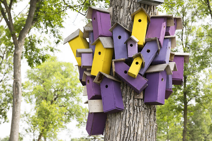 My Chihuahua Set Out On A Troll-Hunting Adventure In Minnesota’s Woods, And Here’s The Result (24 Pics) My Chihuahua Set Out On A Troll-Hunting Adventure In Minnesota’s Woods, And Here’s The Result (24 Pics)