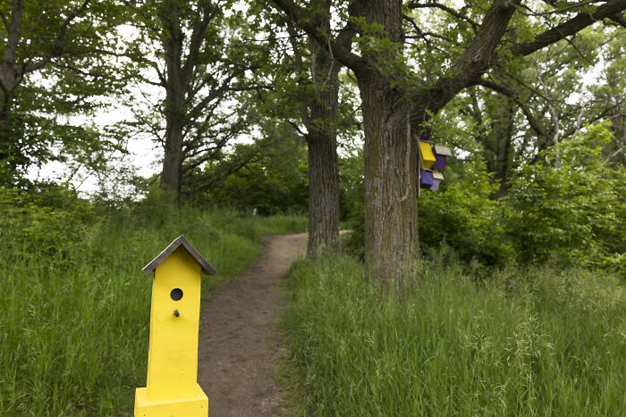 My Chihuahua Set Out On A Troll-Hunting Adventure In Minnesota’s Woods, And Here’s The Result (24 Pics) My Chihuahua Set Out On A Troll-Hunting Adventure In Minnesota’s Woods, And Here’s The Result (24 Pics)