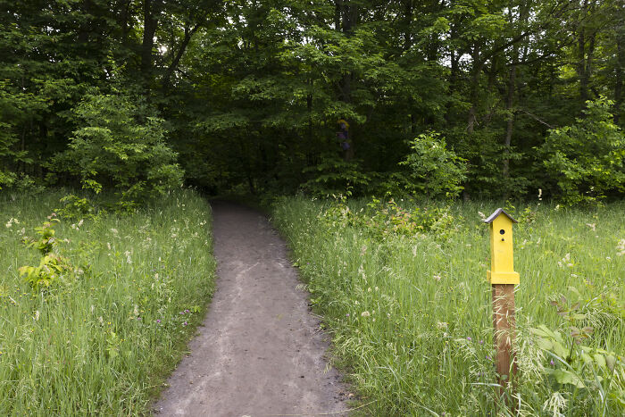 My Chihuahua Set Out On A Troll-Hunting Adventure In Minnesota’s Woods, And Here’s The Result (24 Pics) My Chihuahua Set Out On A Troll-Hunting Adventure In Minnesota’s Woods, And Here’s The Result (24 Pics)