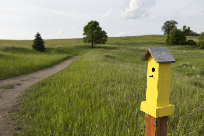 My Chihuahua Set Out On A Troll-Hunting Adventure In Minnesota’s Woods, And Here’s The Result (24 Pics) My Chihuahua Set Out On A Troll-Hunting Adventure In Minnesota’s Woods, And Here’s The Result (24 Pics)