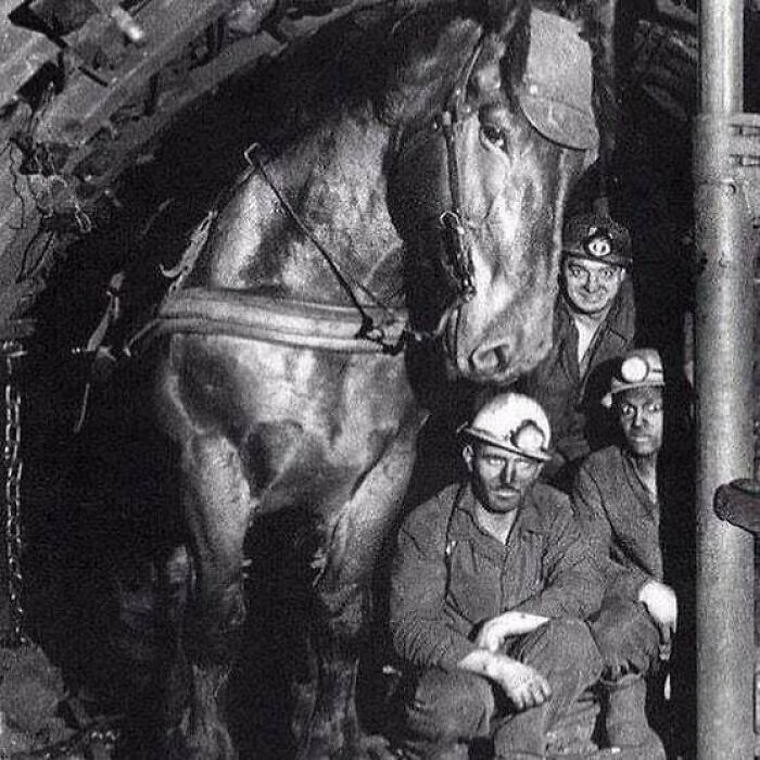 61 Historical Photos That Don’t Need Context To Be Appreciated