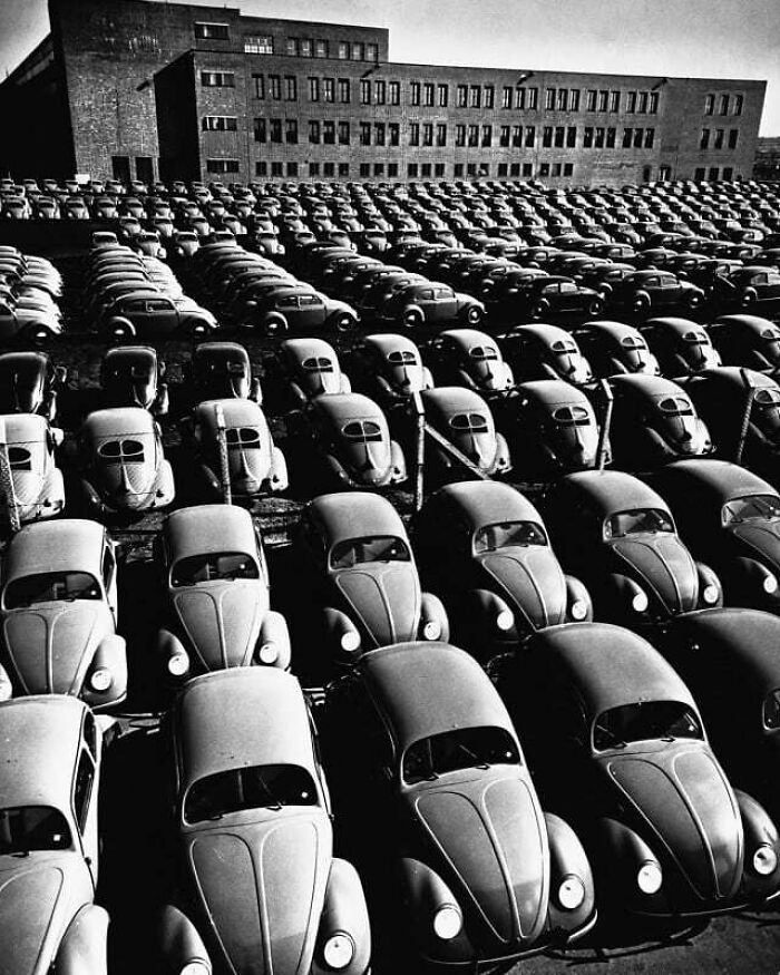 61 Historical Photos That Don’t Need Context To Be Appreciated