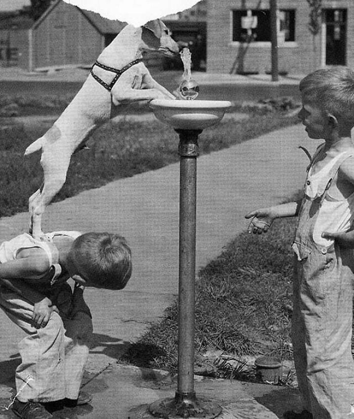 61 Historical Photos That Don’t Need Context To Be Appreciated