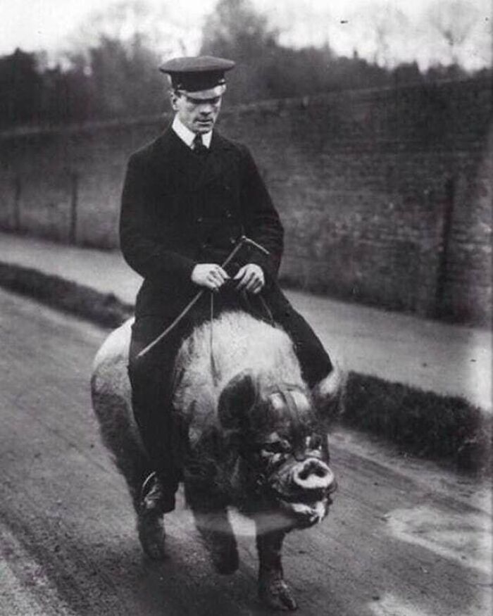 61 Historical Photos That Don’t Need Context To Be Appreciated