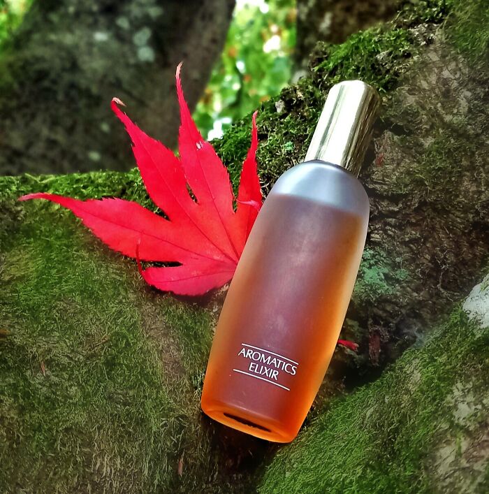 33 Perfumes So Bizarre You Might Wonder Who On Earth Would Ever Wear Them 33 Perfumes So Bizarre You Might Wonder Who On Earth Would Ever Wear Them