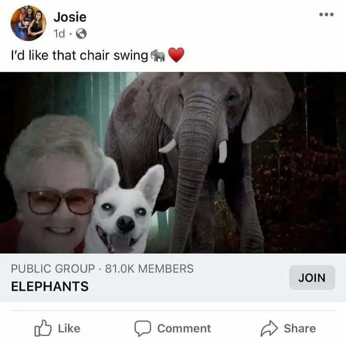 77 Times Older People Failed At Being On The Internet But Provided Some Comedy Gold (New Pics) 77 Times Older People Failed At Being On The Internet But Provided Some Comedy Gold (New Pics)