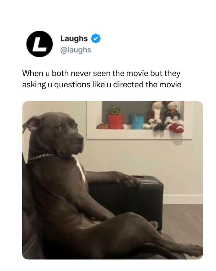 65 Funny Memes To Look At When You Need A Break From Being A Responsible Adult