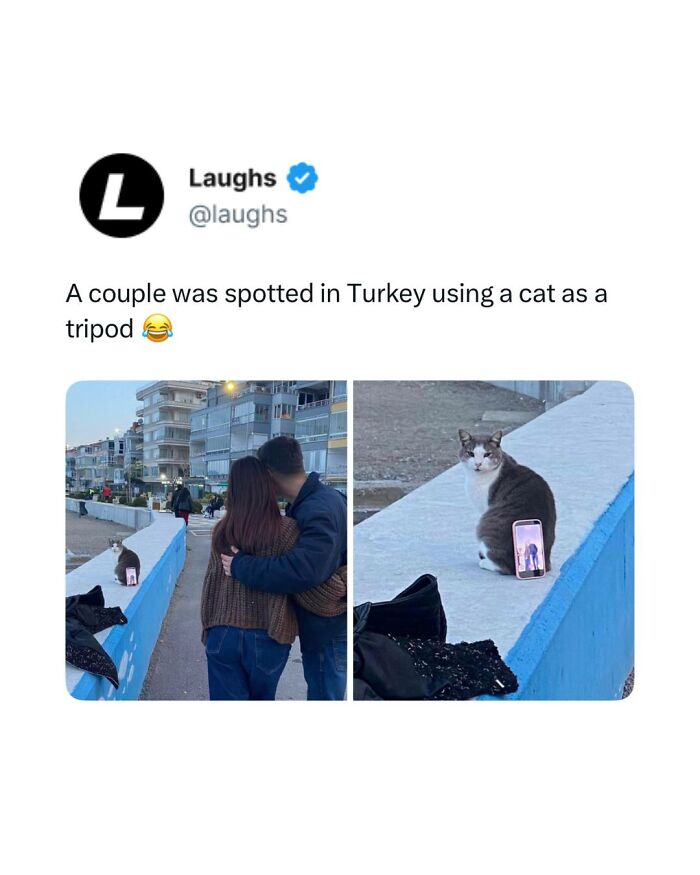 65 Funny Memes To Look At When You Need A Break From Being A Responsible Adult