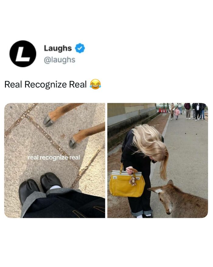 65 Funny Memes To Look At When You Need A Break From Being A Responsible Adult