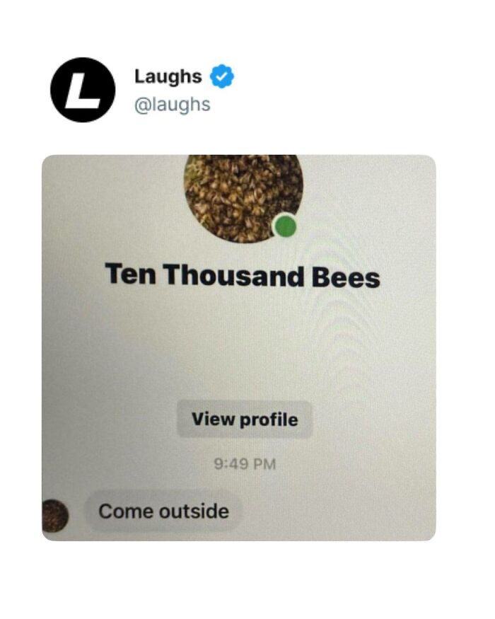 65 Funny Memes To Look At When You Need A Break From Being A Responsible Adult