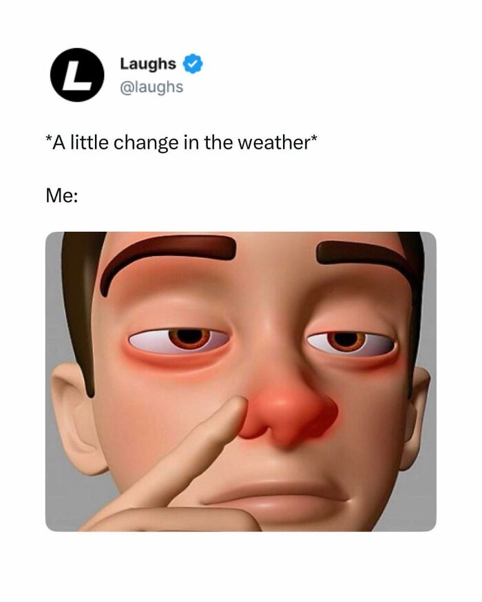 65 Funny Memes To Look At When You Need A Break From Being A Responsible Adult