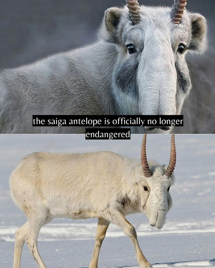 77 Good News From Around The World That Might Make Life A Little Bit Better