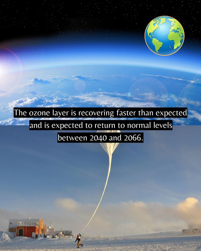 77 Good News From Around The World That Might Make Life A Little Bit Better