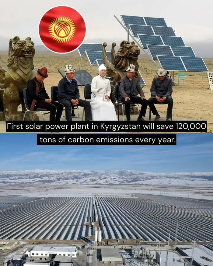 77 Good News From Around The World That Might Make Life A Little Bit Better