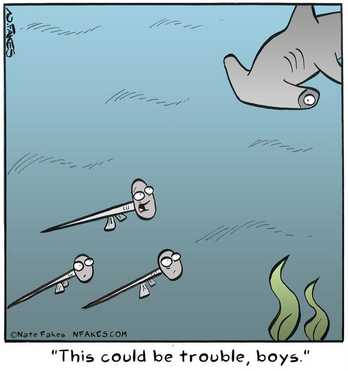 This Artist Can Tell A Joke In A Single Panel, Here Are His 70 Best Works