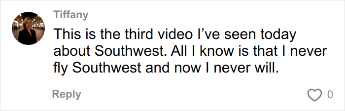 Plus‑Size Woman Goes Viral After Calling Out Airline For Forcing Her To Buy A Second Seat, Splits The Internet