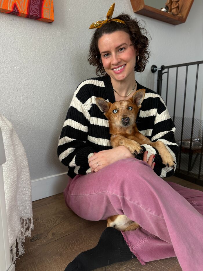 After Surviving Cruelty, This Dog Found Safety, Love, And A Reunion No One Expected After Surviving Cruelty, This Dog Found Safety, Love, And A Reunion No One Expected