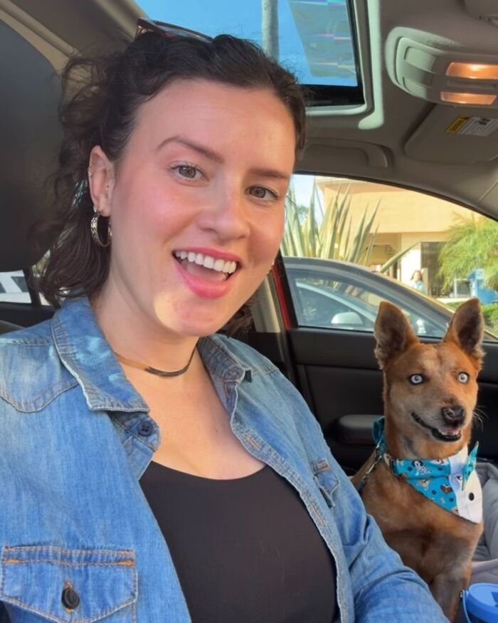 After Surviving Cruelty, This Dog Found Safety, Love, And A Reunion No One Expected After Surviving Cruelty, This Dog Found Safety, Love, And A Reunion No One Expected