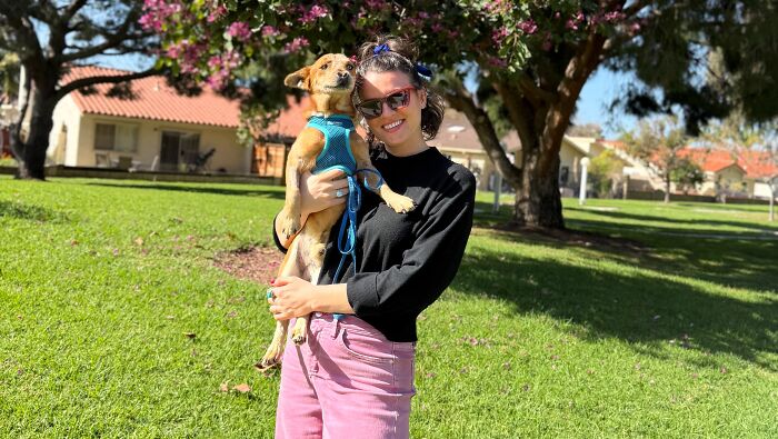 After Surviving Cruelty, This Dog Found Safety, Love, And A Reunion No One Expected After Surviving Cruelty, This Dog Found Safety, Love, And A Reunion No One Expected