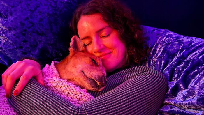 After Surviving Cruelty, This Dog Found Safety, Love, And A Reunion No One Expected After Surviving Cruelty, This Dog Found Safety, Love, And A Reunion No One Expected