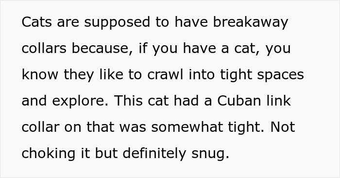 Furious Cat Owner Demands Vengeance After Neighbor Permanently Alters His Prized Pet