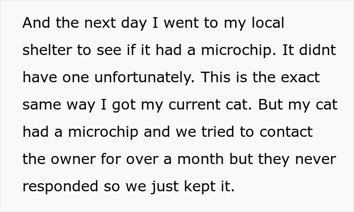 Furious Cat Owner Demands Vengeance After Neighbor Permanently Alters His Prized Pet